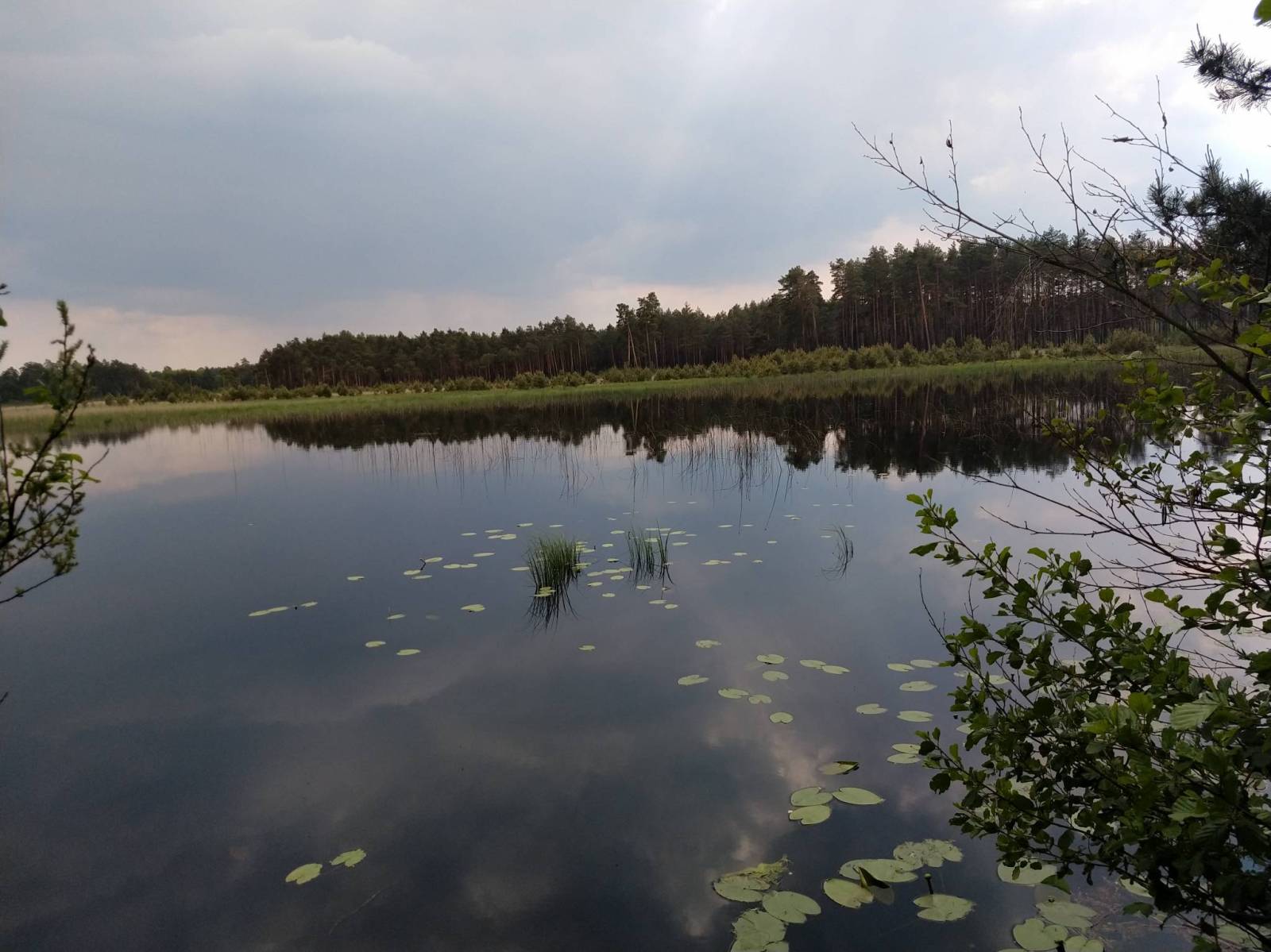 Zdjęcie 5