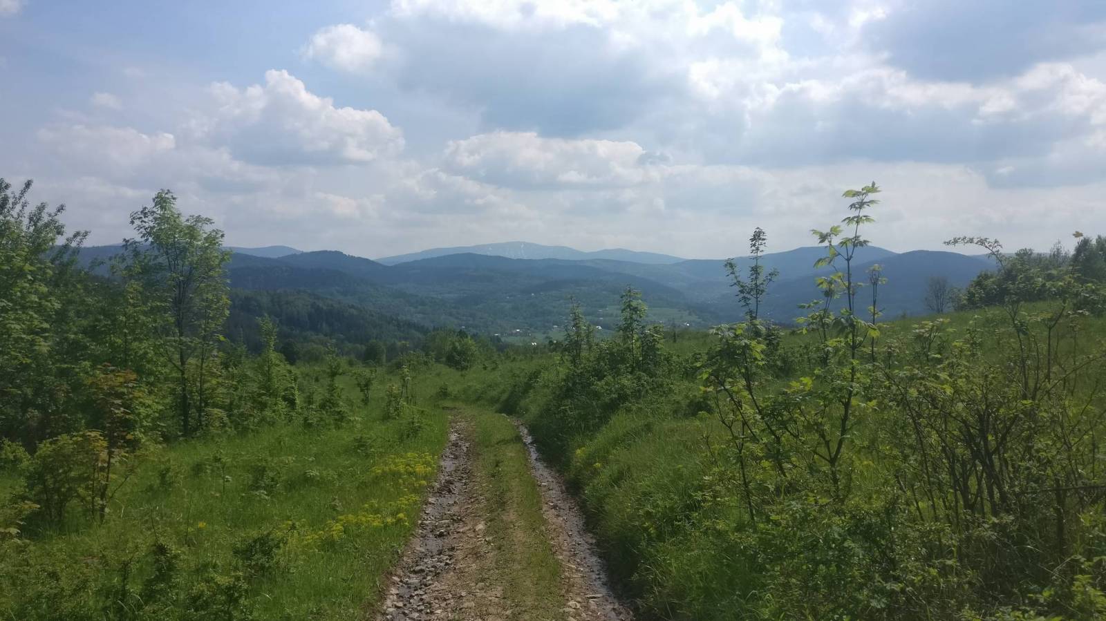 Zdjęcie 2