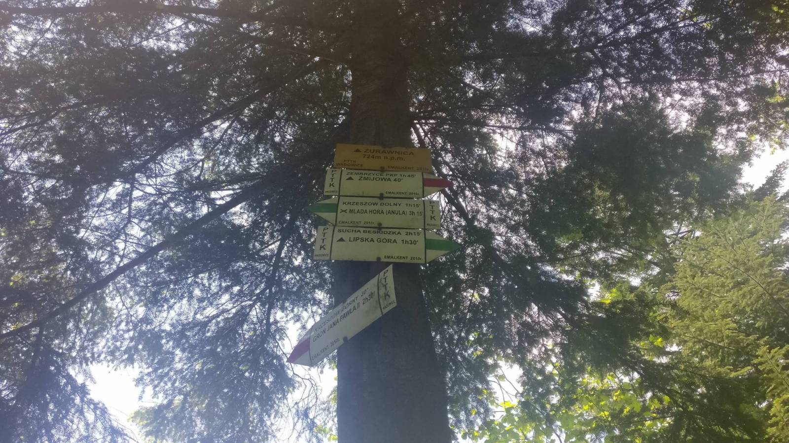 Zdjęcie 4