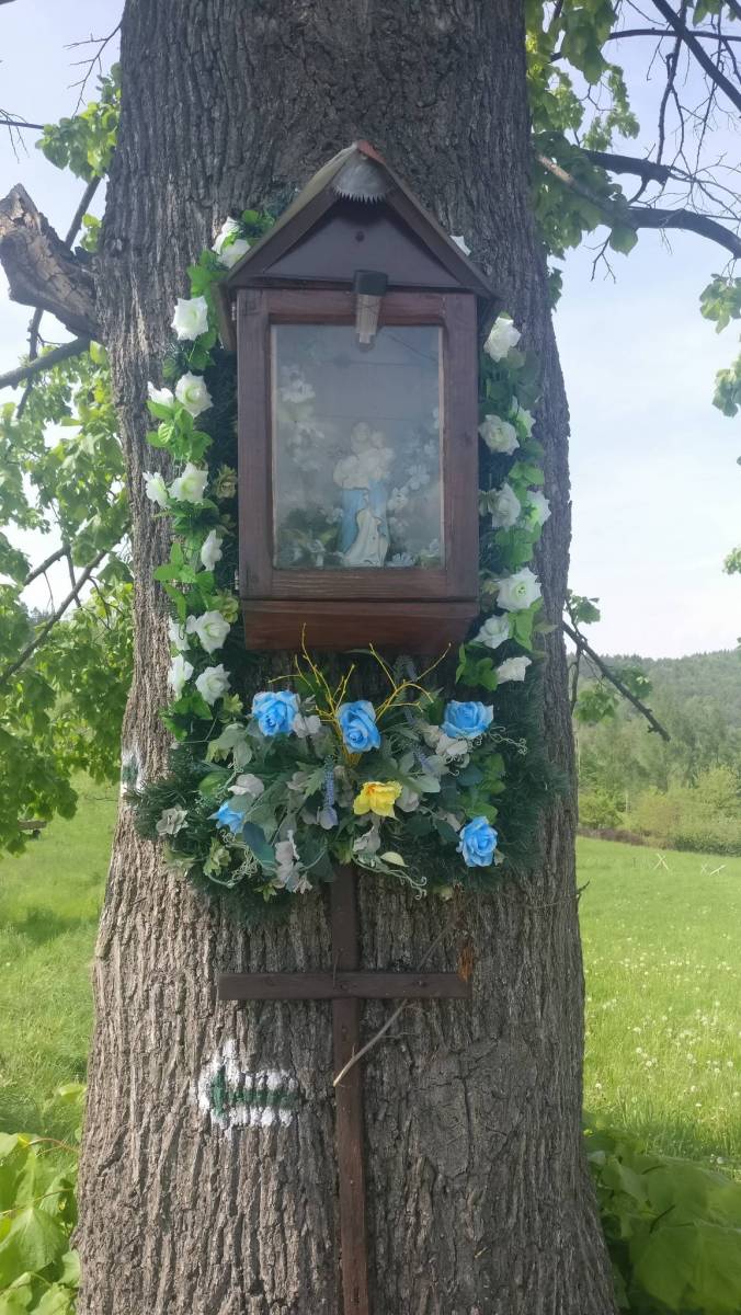 Zdjęcie 5