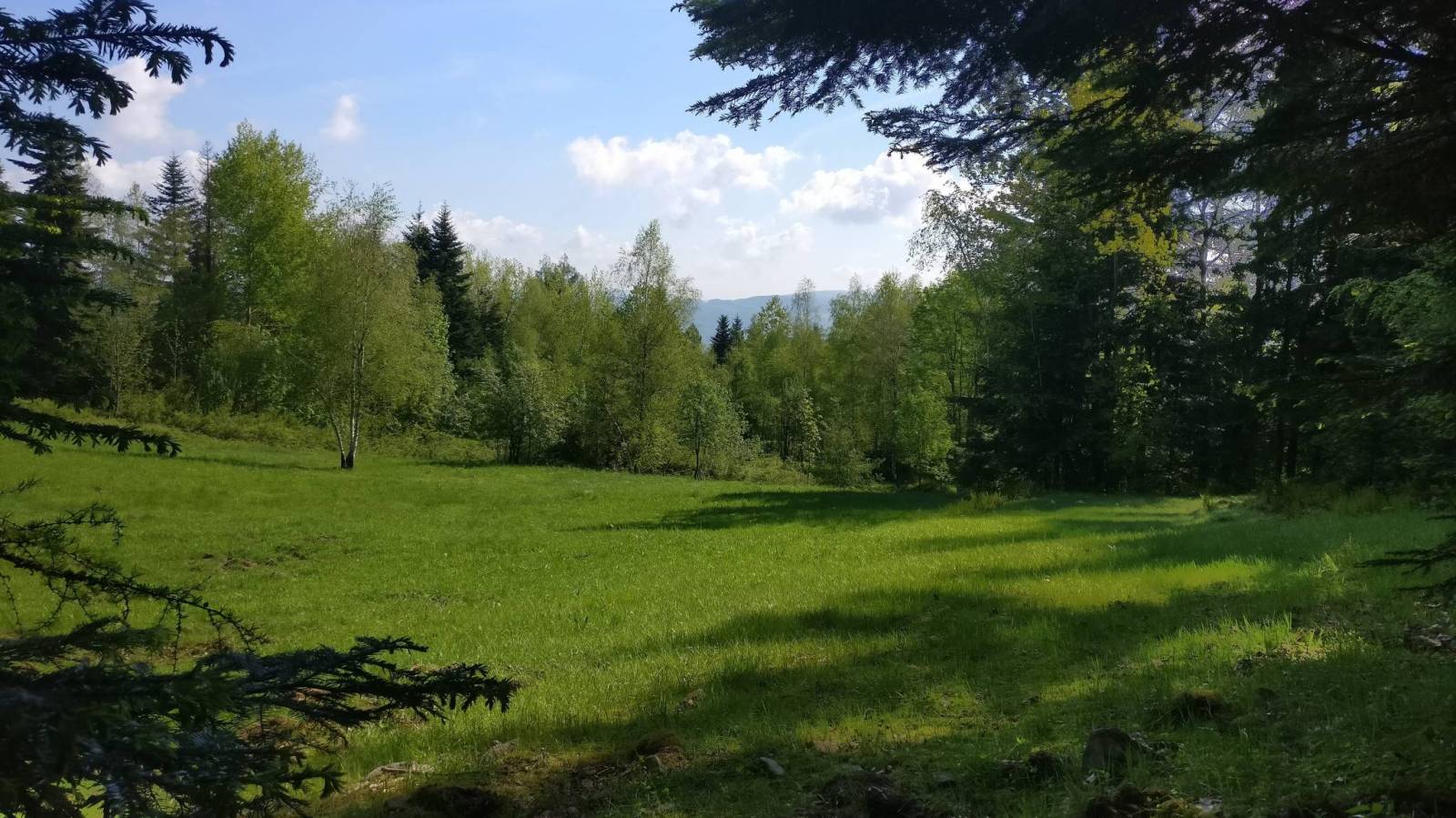 Zdjęcie 4