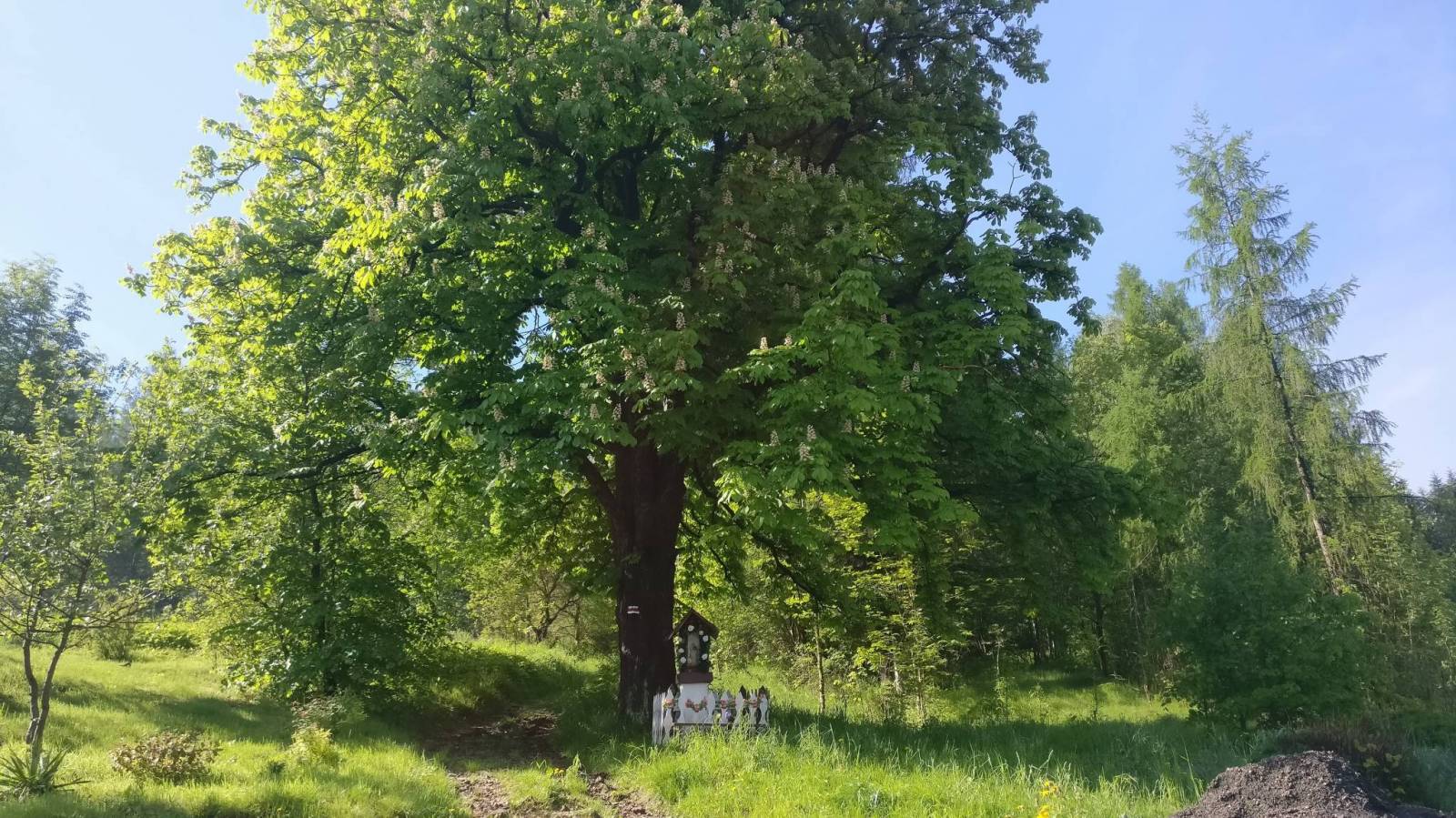 Zdjęcie 6