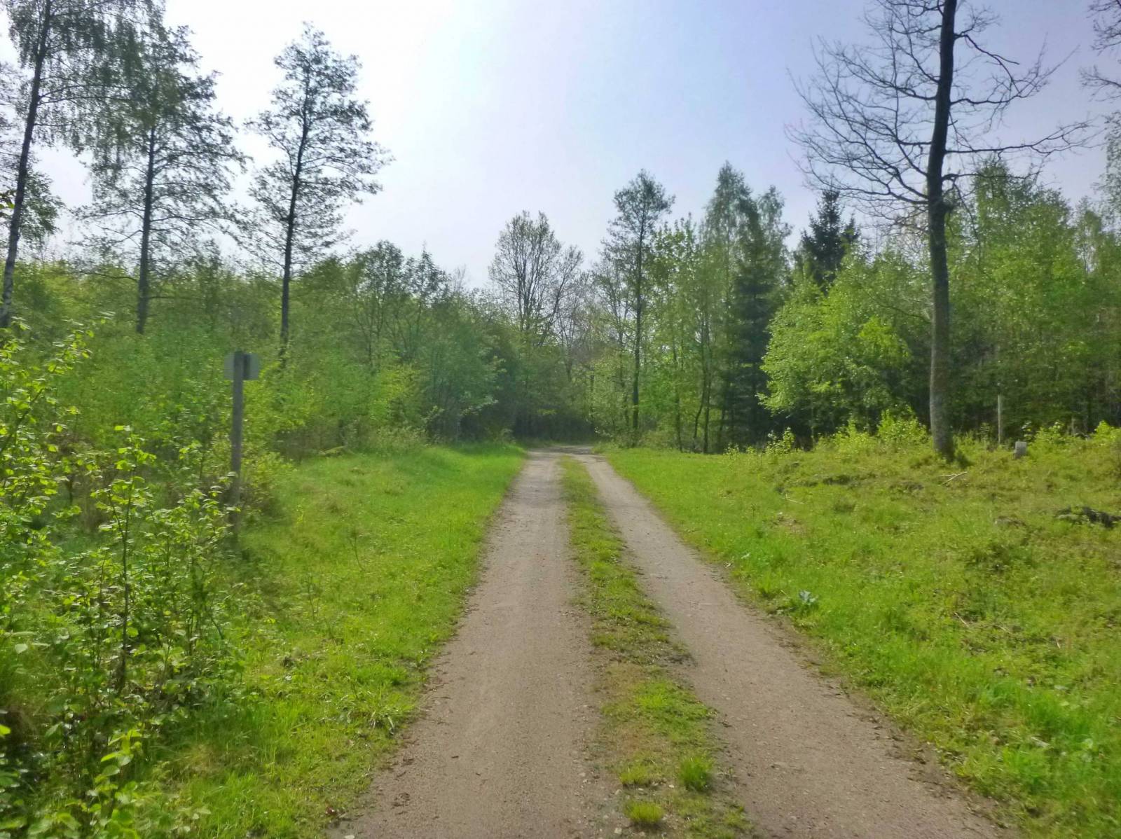 Zdjęcie 4