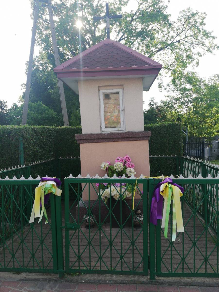 Zdjęcie 6