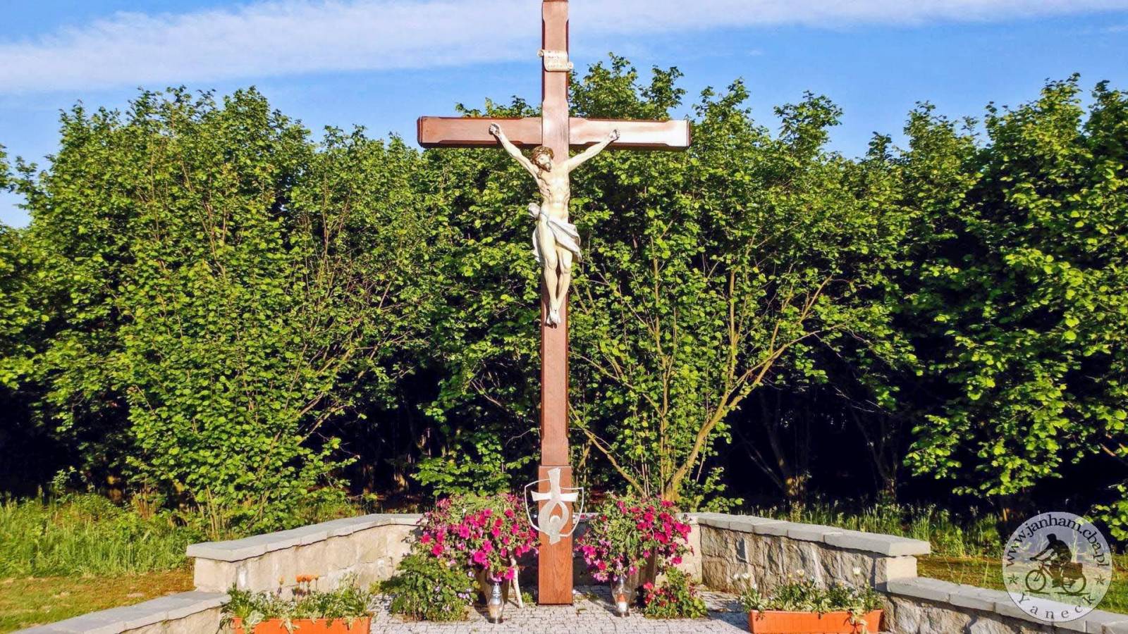 Zdjęcie 5
