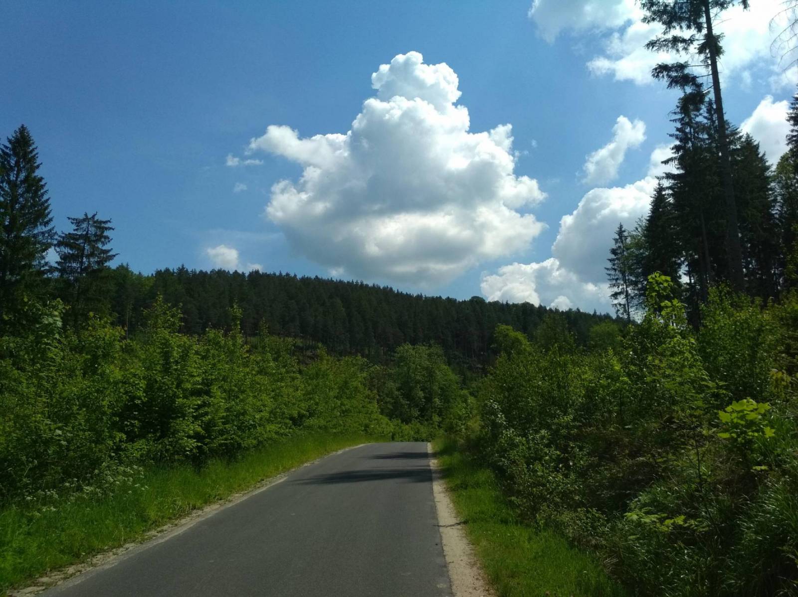 Zdjęcie 6