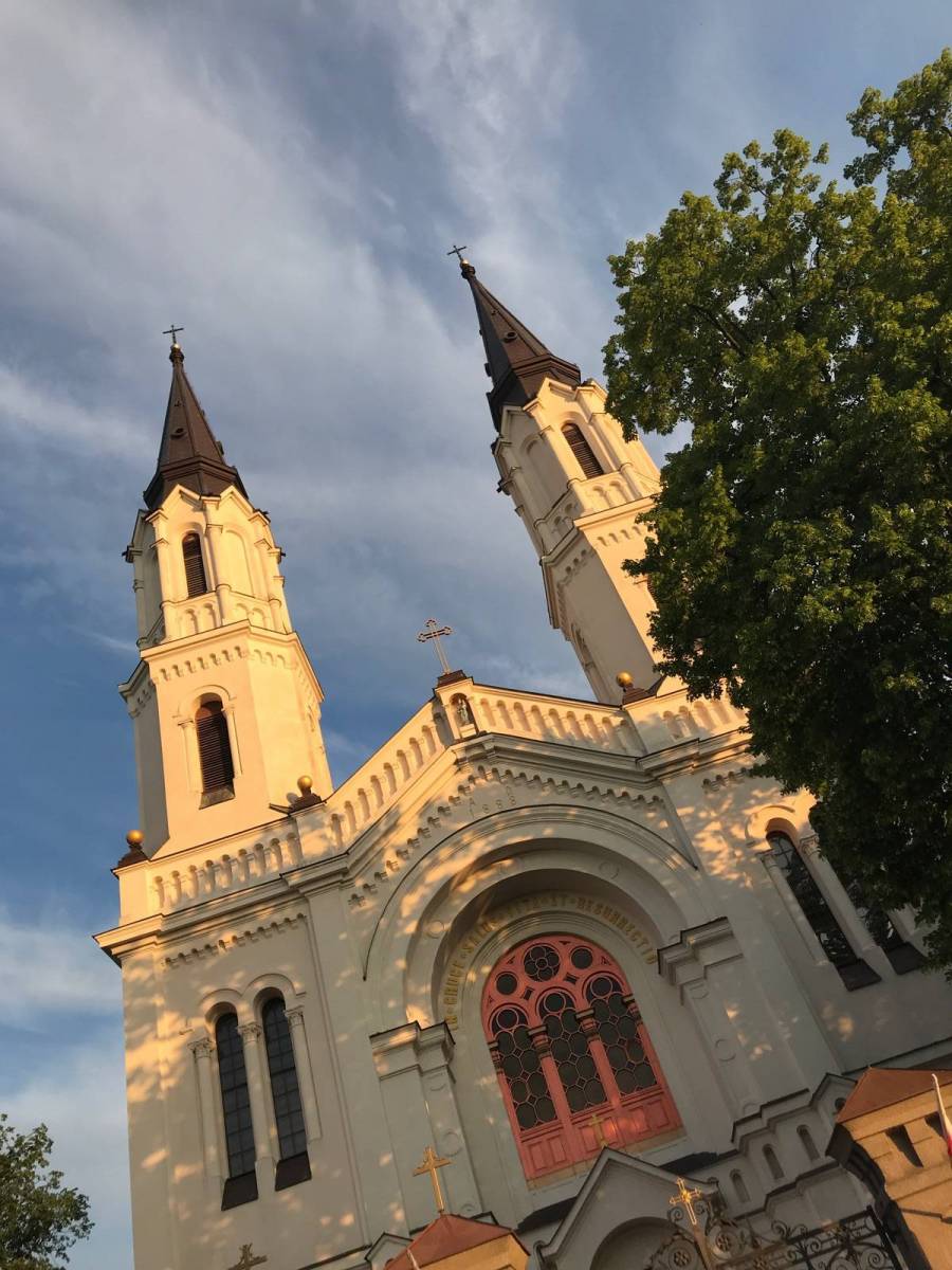 Zdjęcie 6