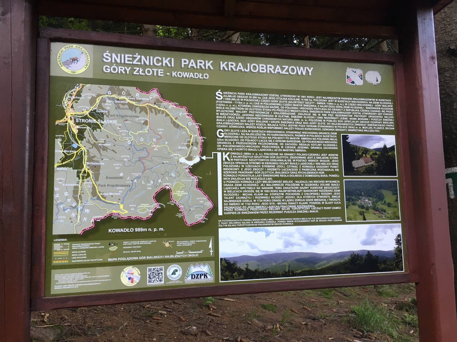 Zdjęcie 5