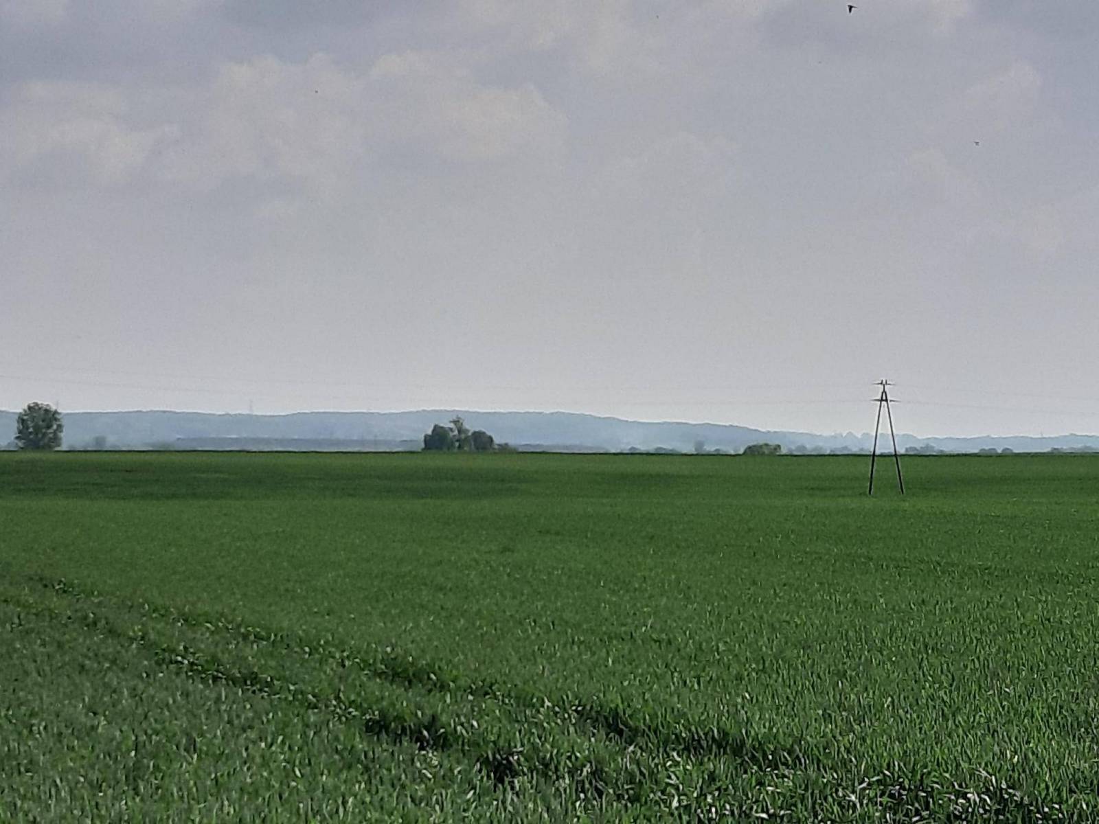 Zdjęcie 5