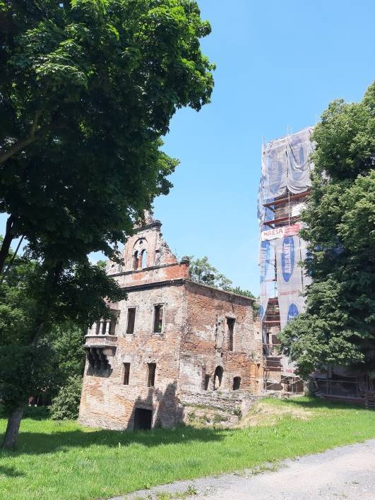 Zdjęcie 6