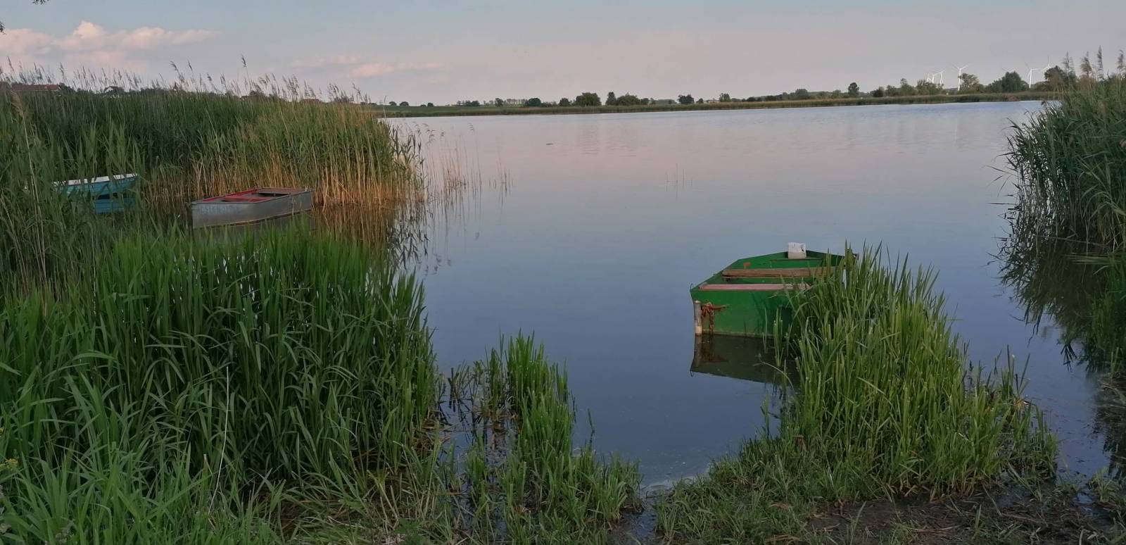 Zdjęcie 5