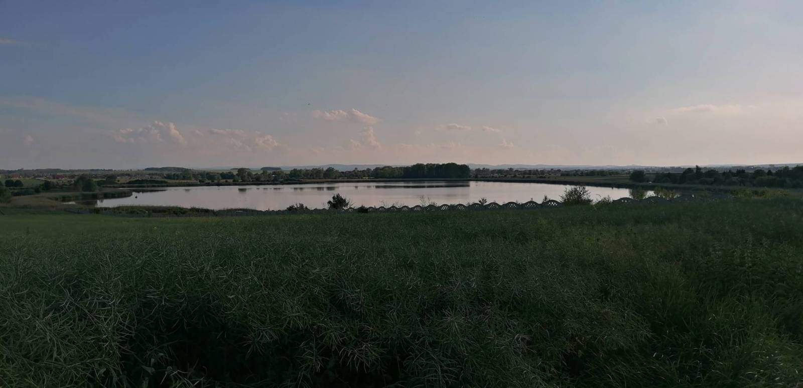 Zdjęcie 6