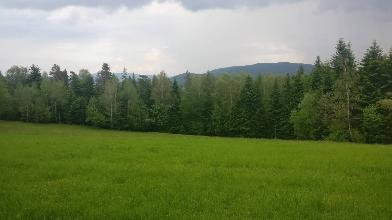 Zdjęcie 5