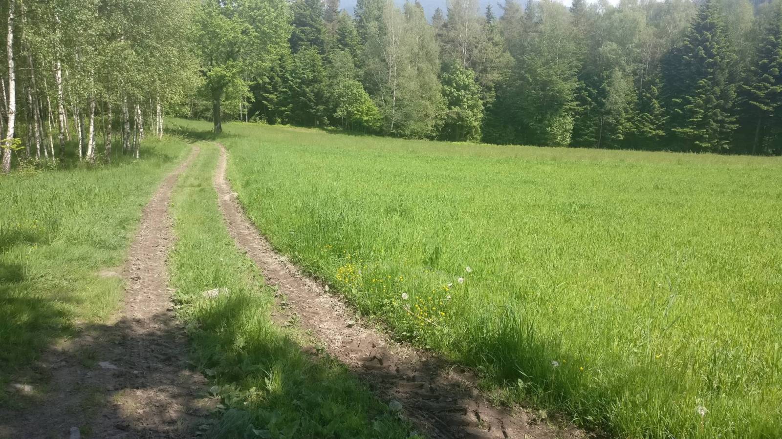 Zdjęcie 6