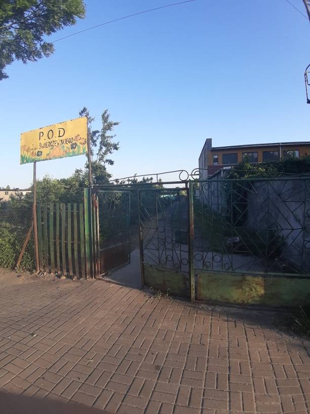 Zdjęcie 2