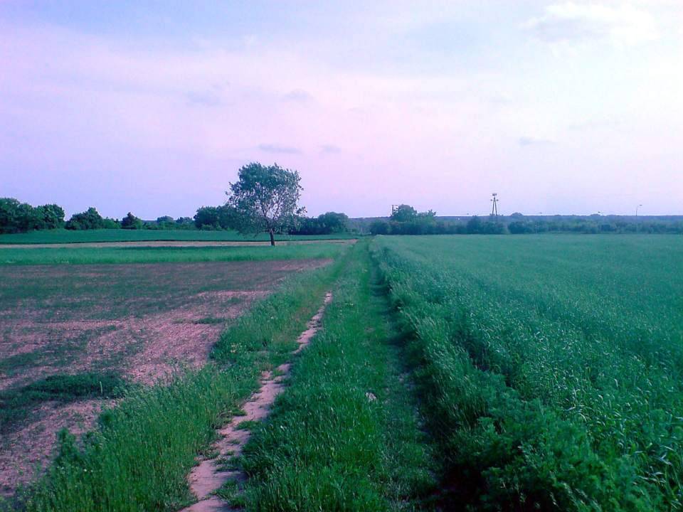 Zdjęcie 3