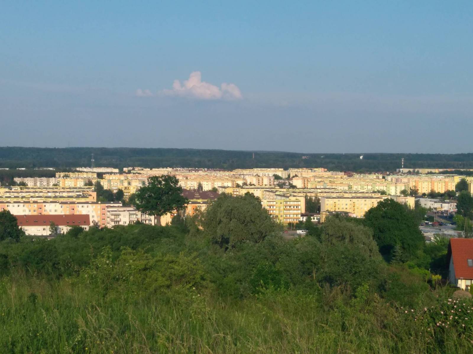 Zdjęcie 6