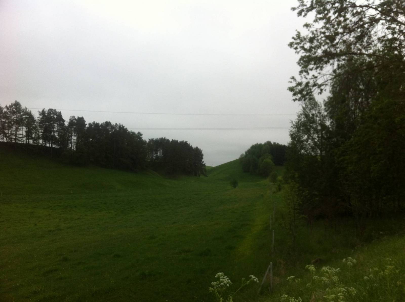 Zdjęcie 3