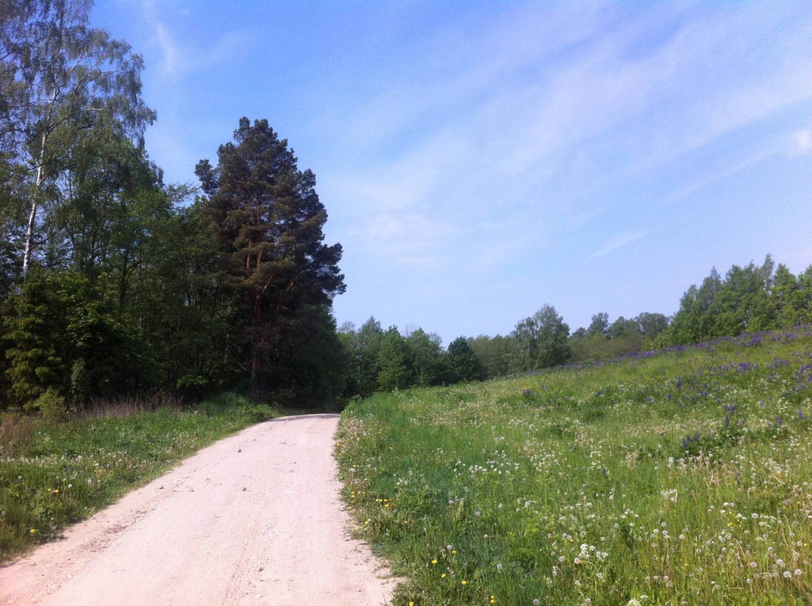 Zdjęcie 6