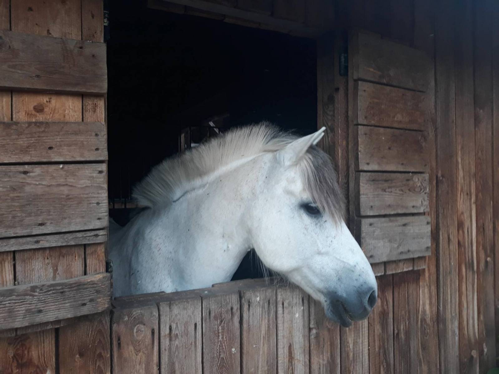 Zdjęcie 2
