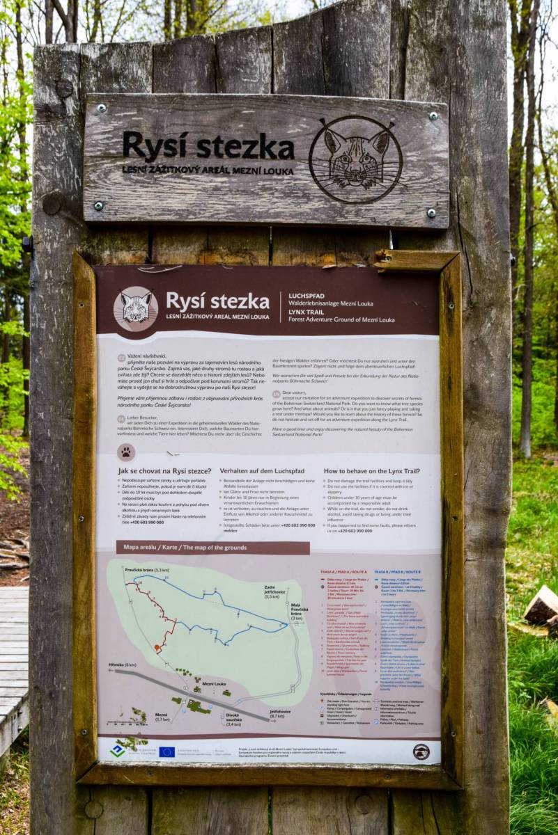 Zdjęcie 2