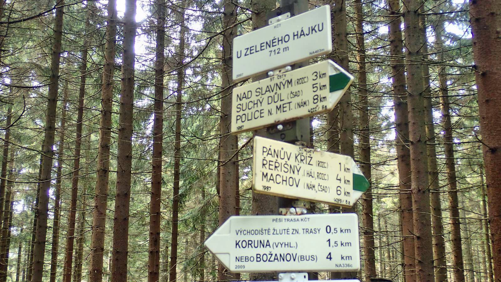 Zdjęcie 6
