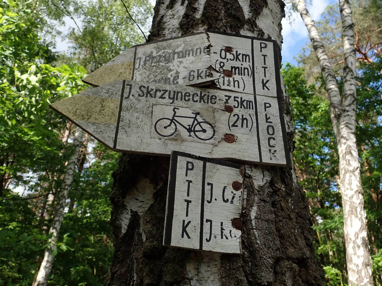Zdjęcie 2