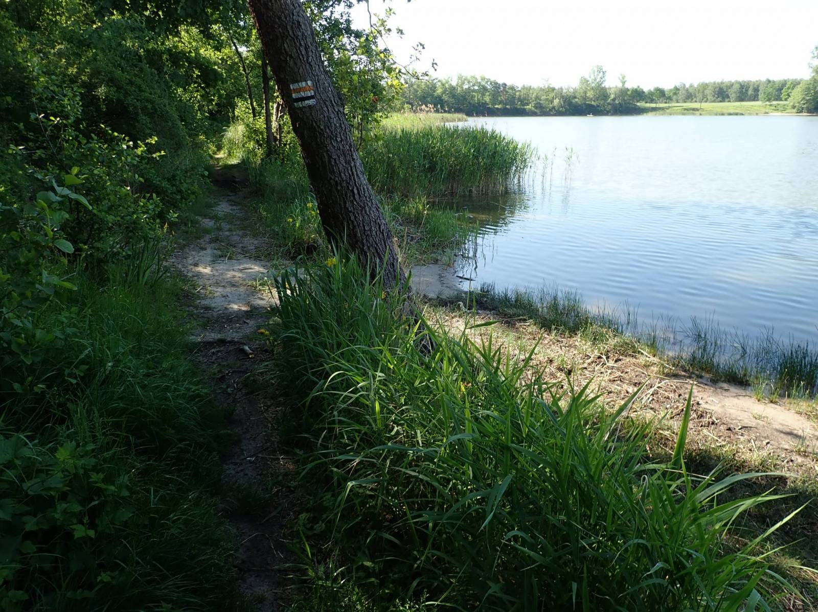 Zdjęcie 6