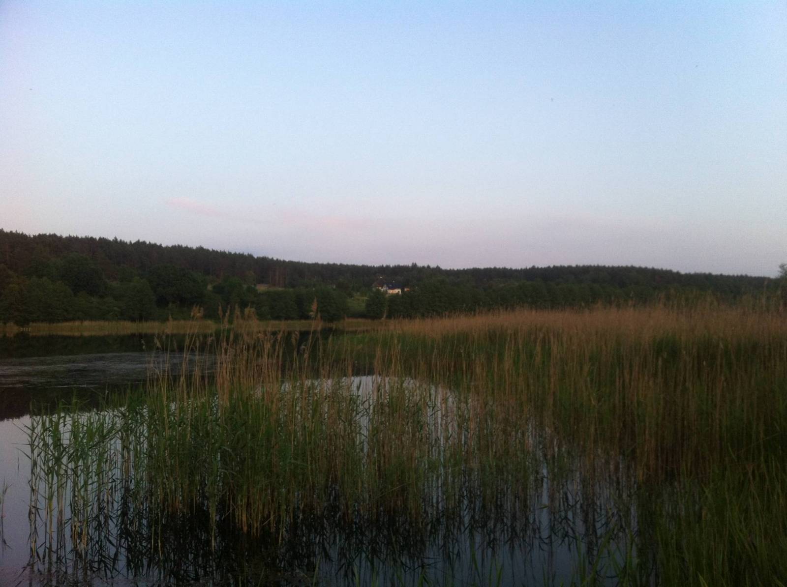 Zdjęcie 5