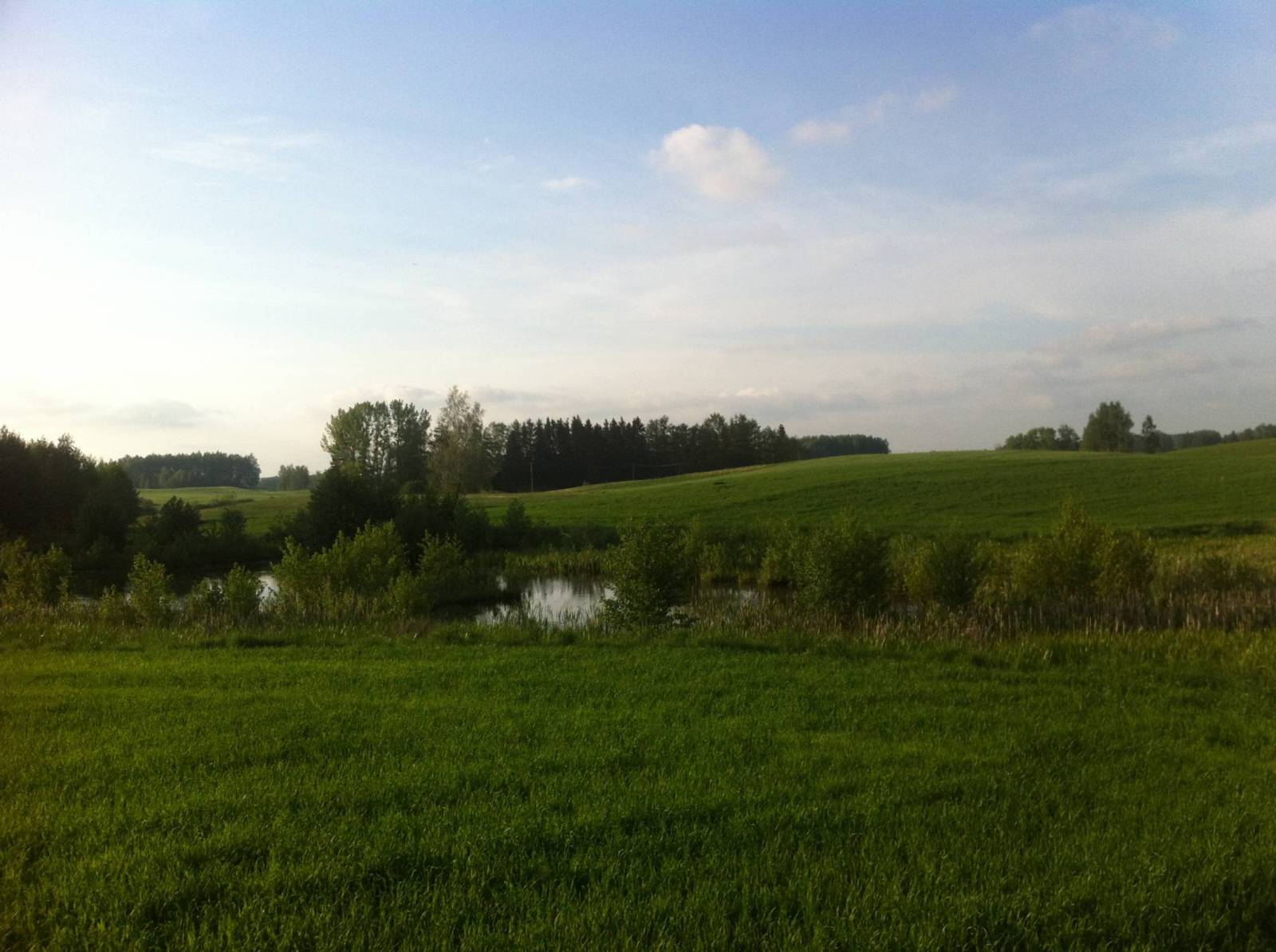 Zdjęcie 4