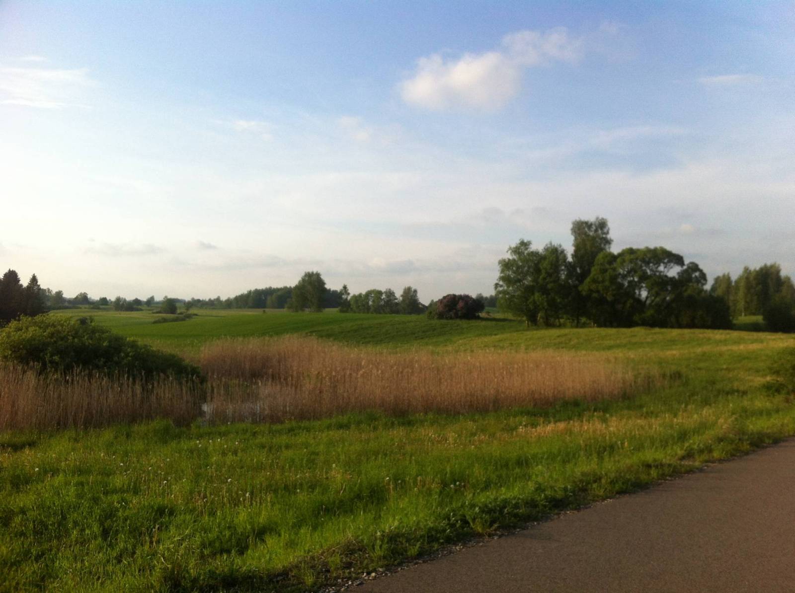 Zdjęcie 5