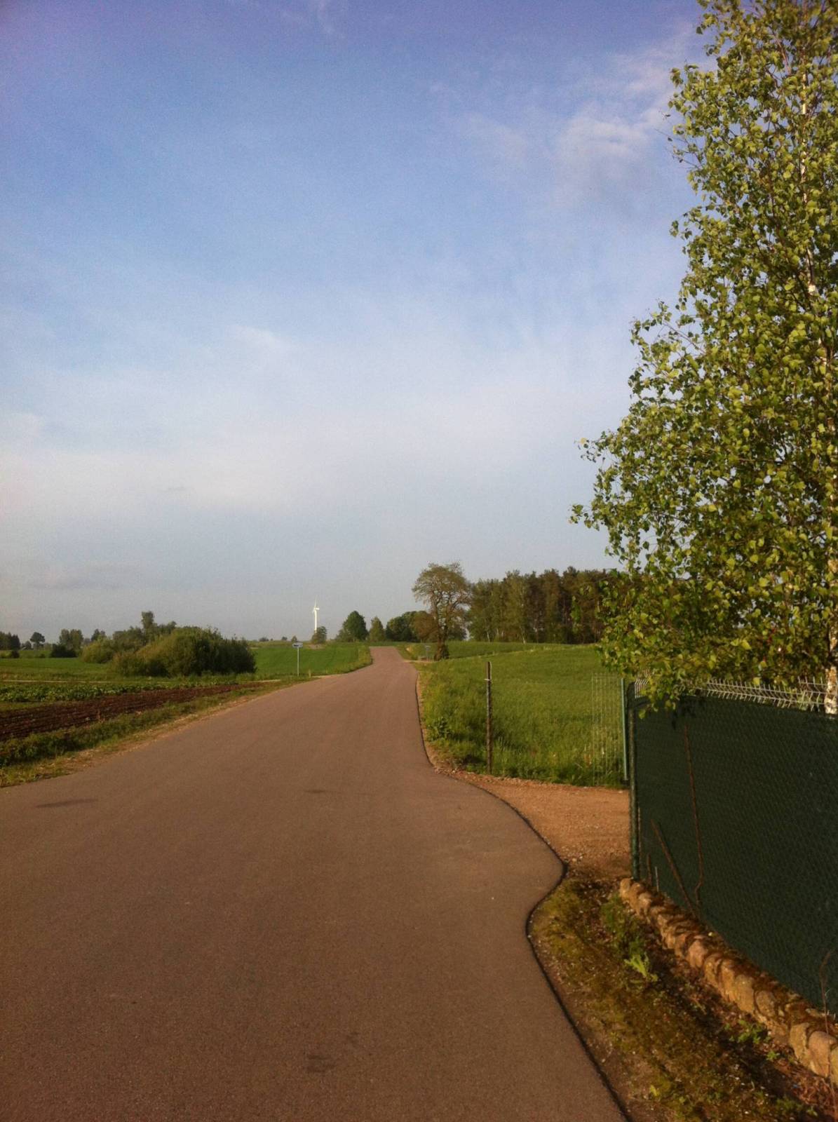Zdjęcie 6
