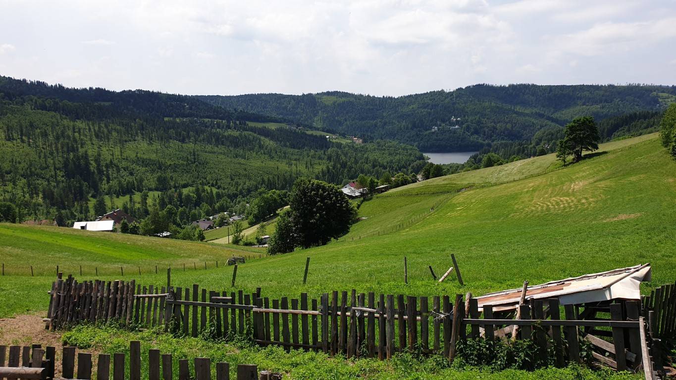 Zdjęcie 6