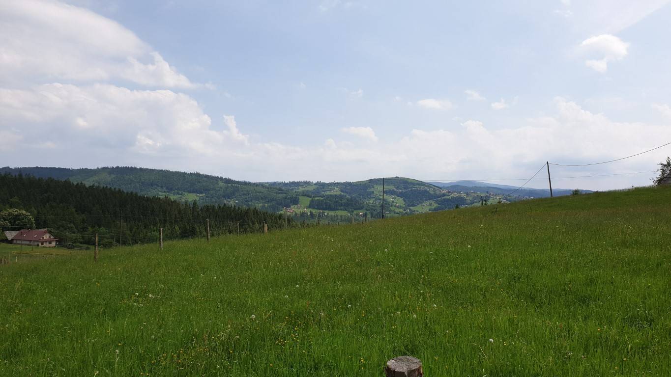 Zdjęcie 5