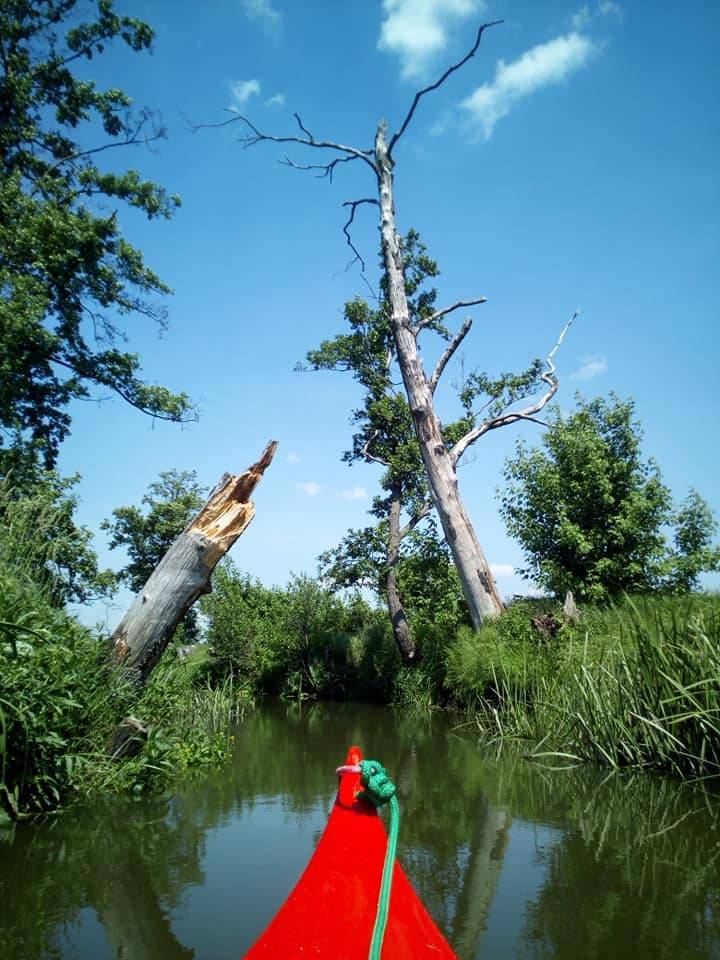 Zdjęcie 6
