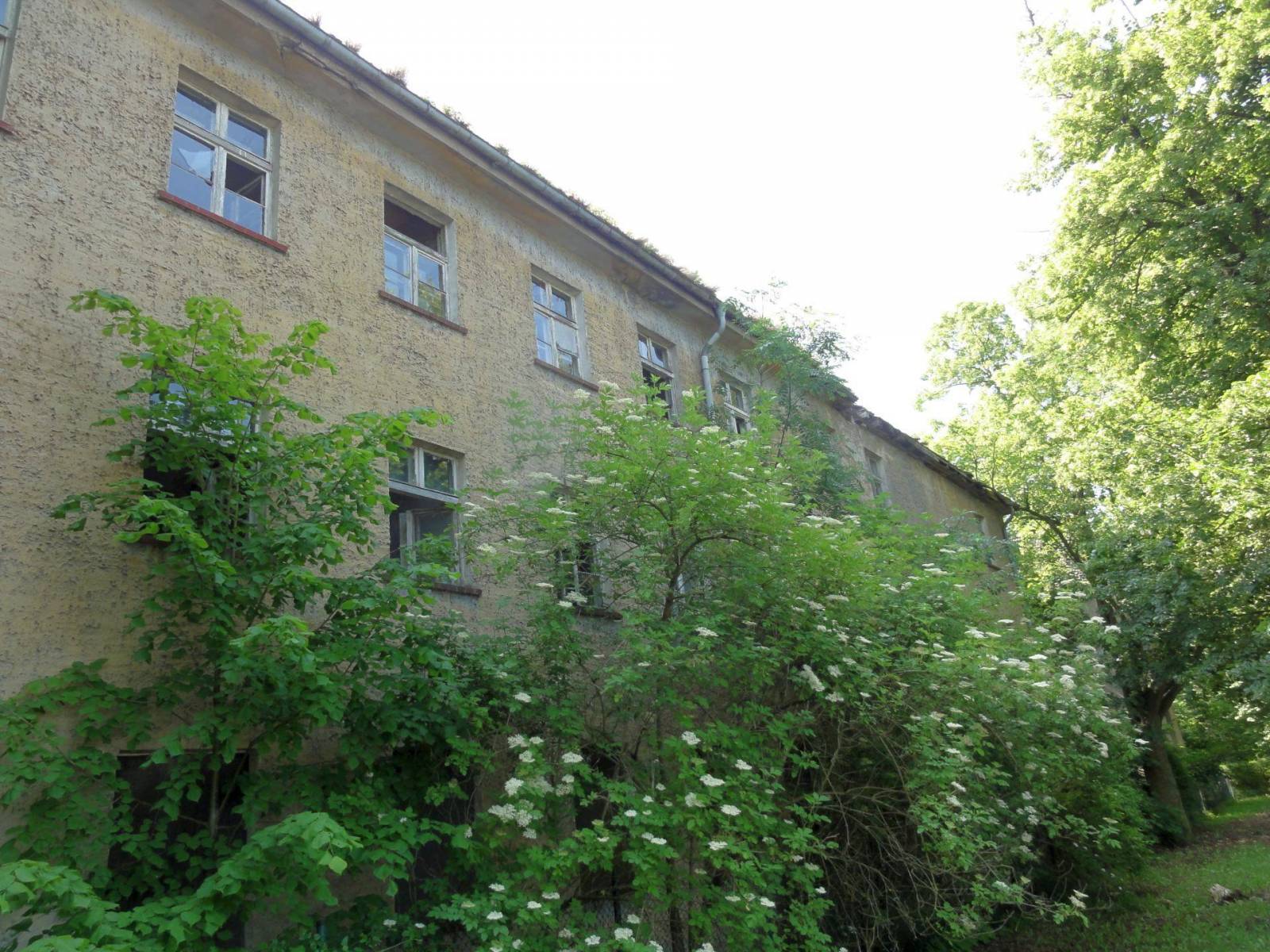 Zdjęcie 4