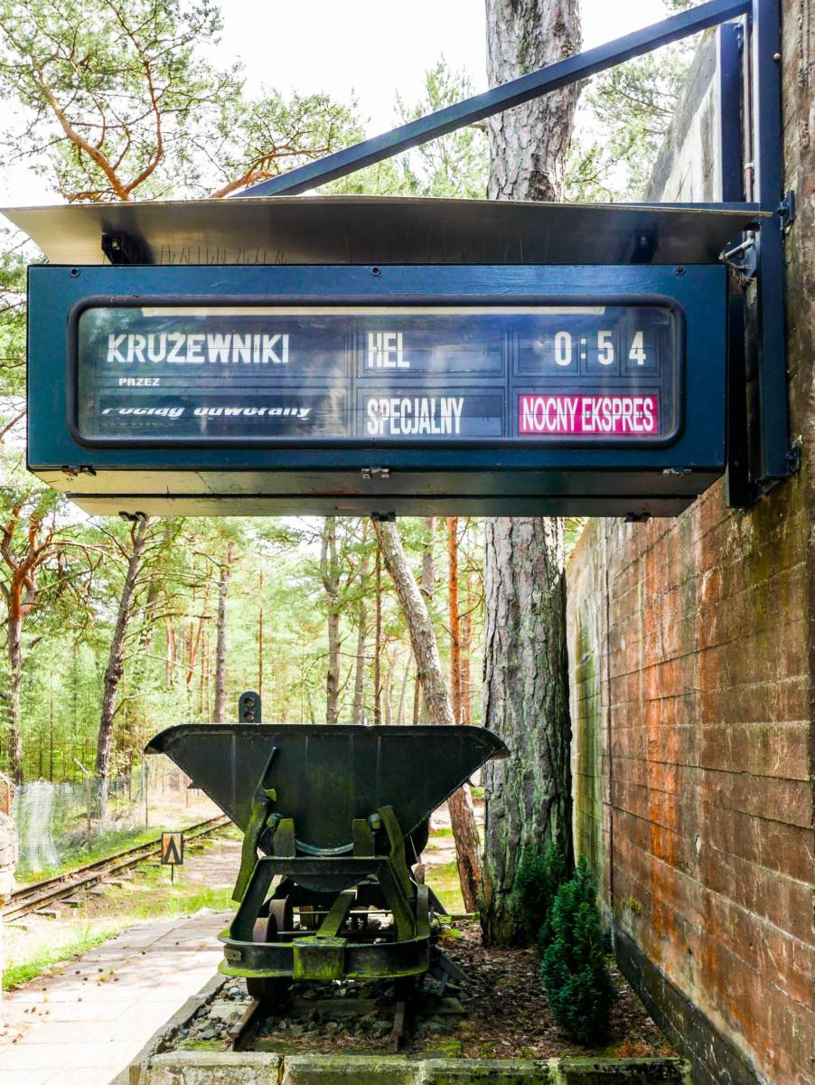 Zdjęcie 3