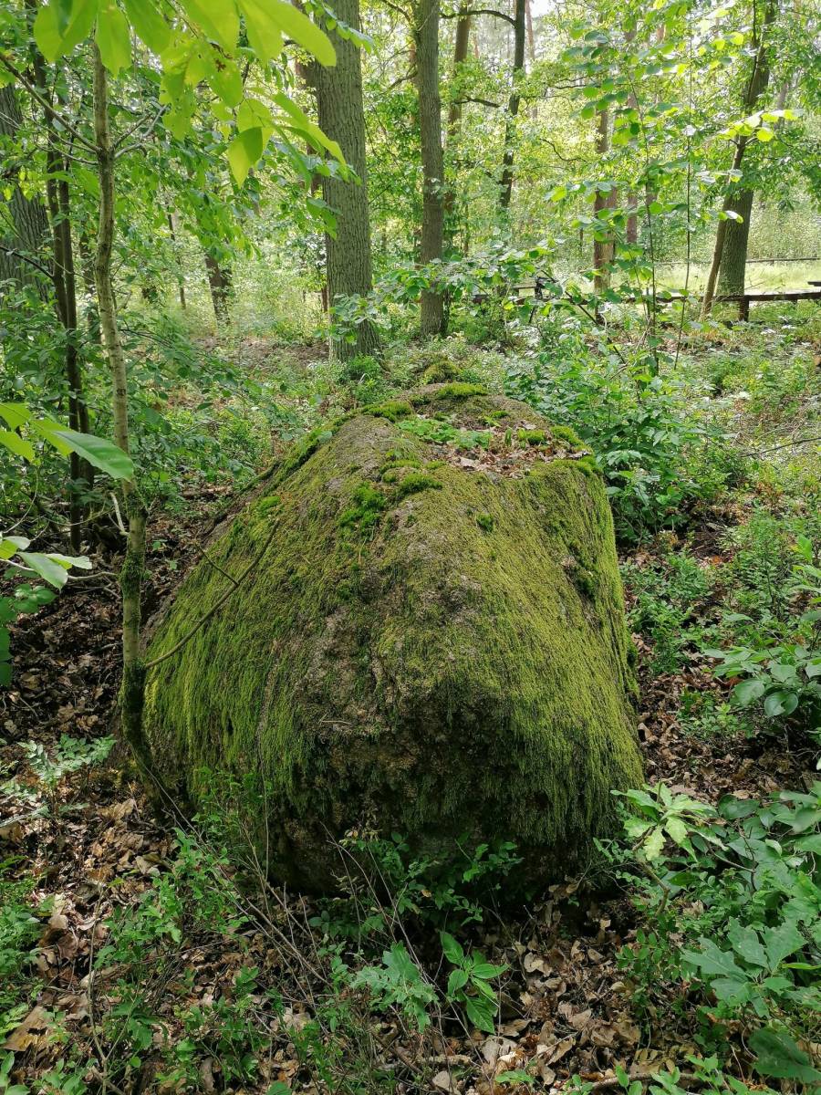 Zdjęcie 2