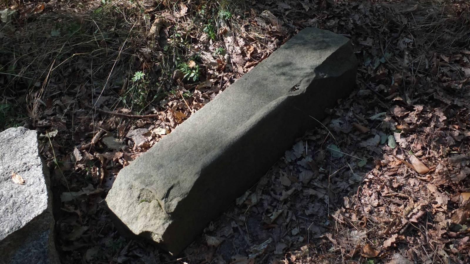Zdjęcie 3