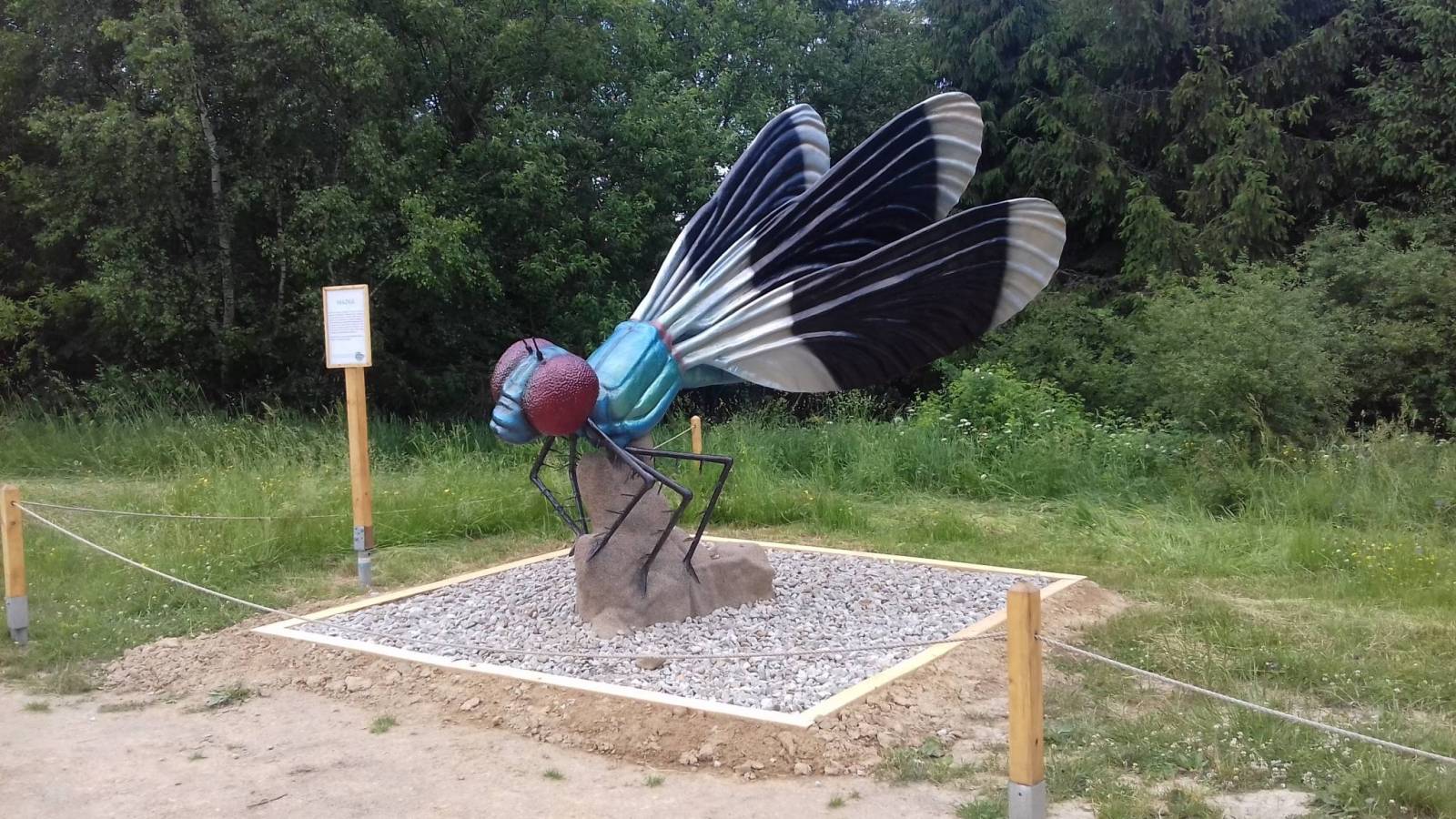 Zdjęcie 5