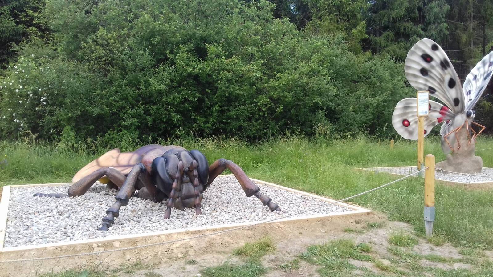 Zdjęcie 6