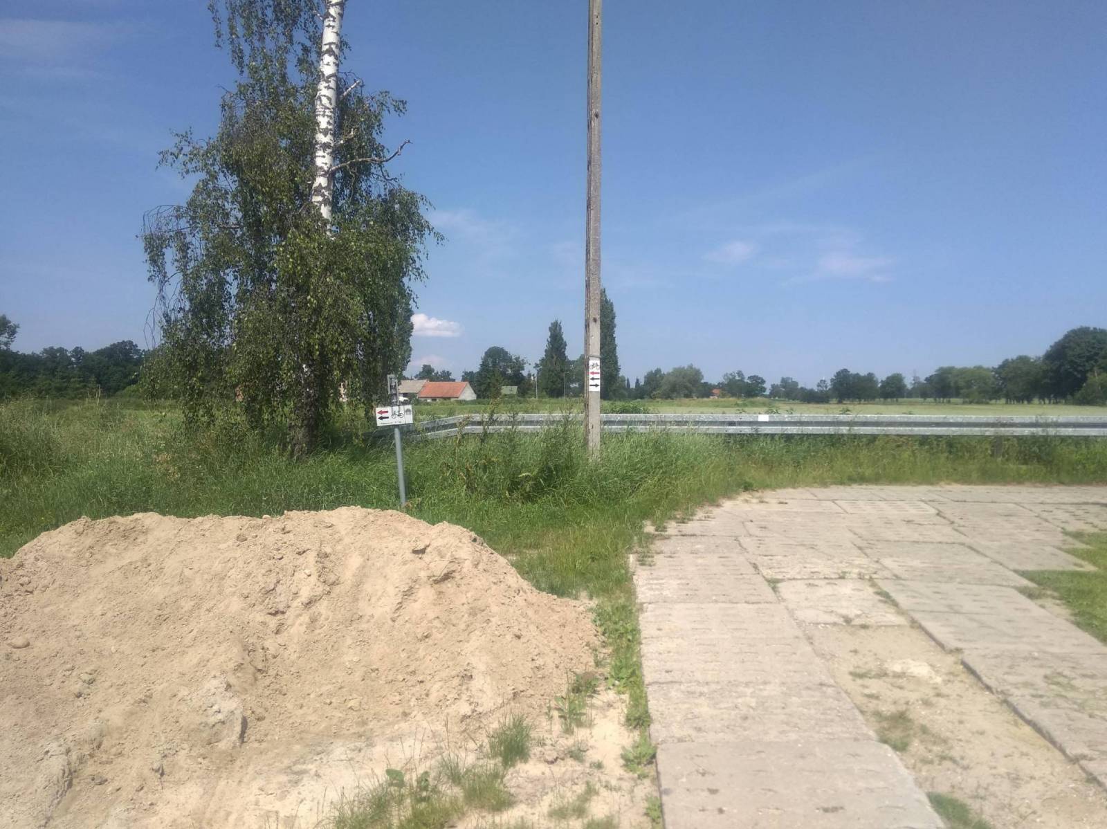 Zdjęcie 6