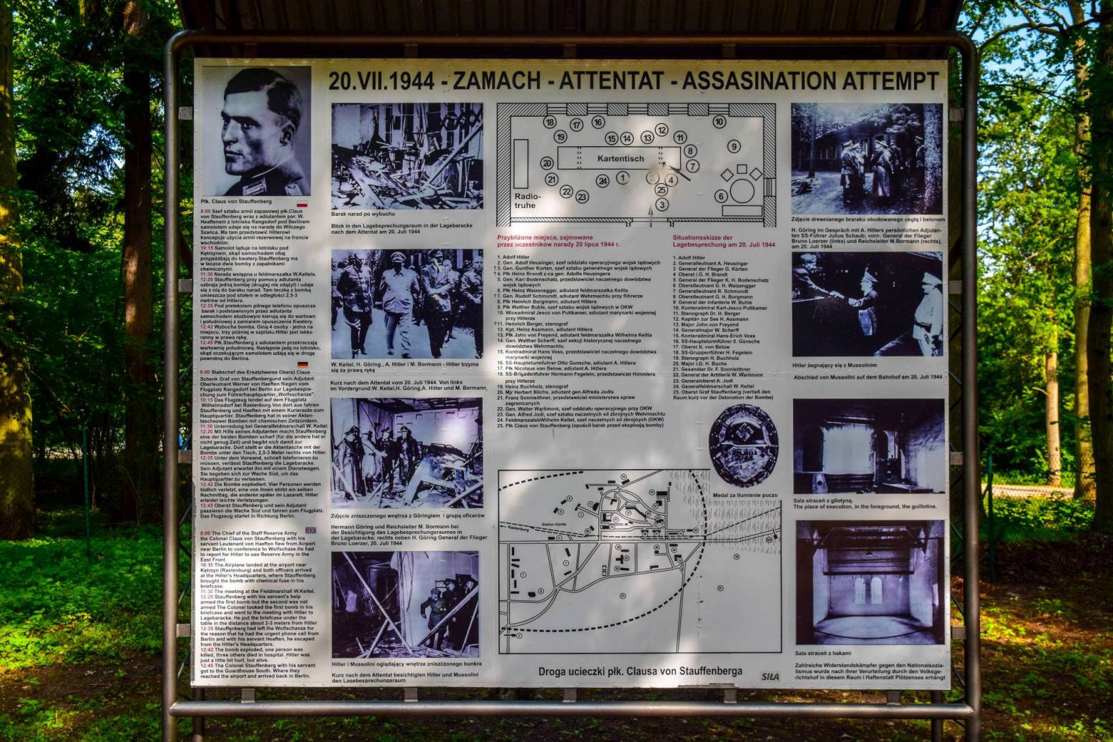 Zdjęcie 6