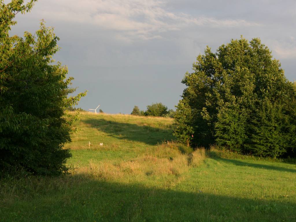 Zdjęcie 4