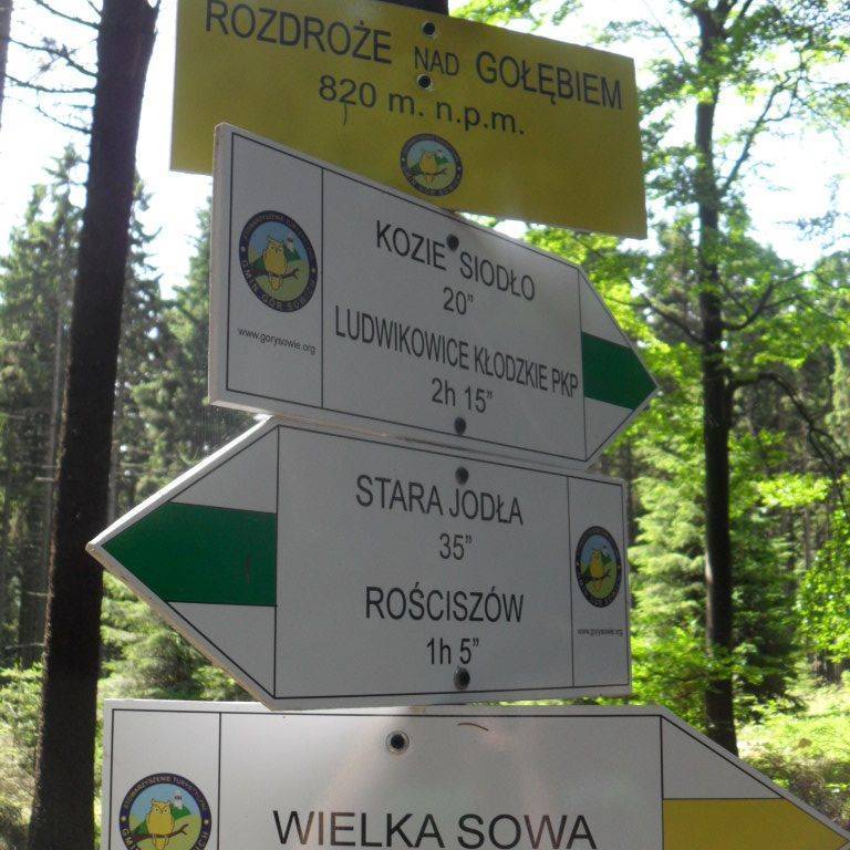 Zdjęcie 6