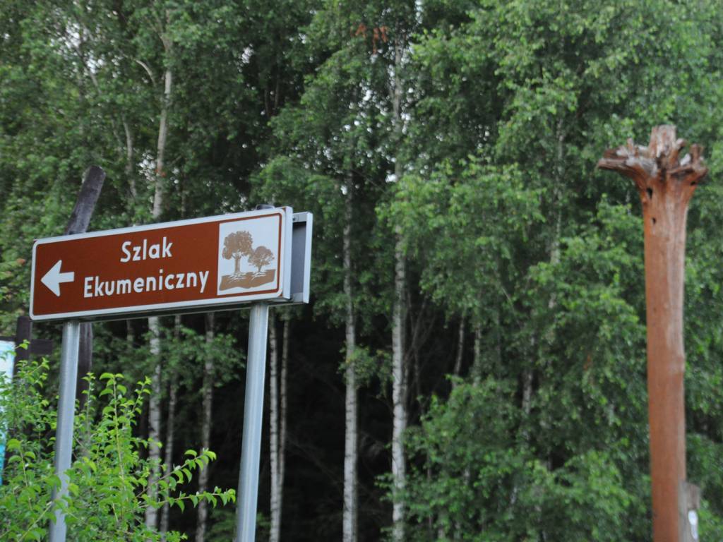 Zdjęcie 4
