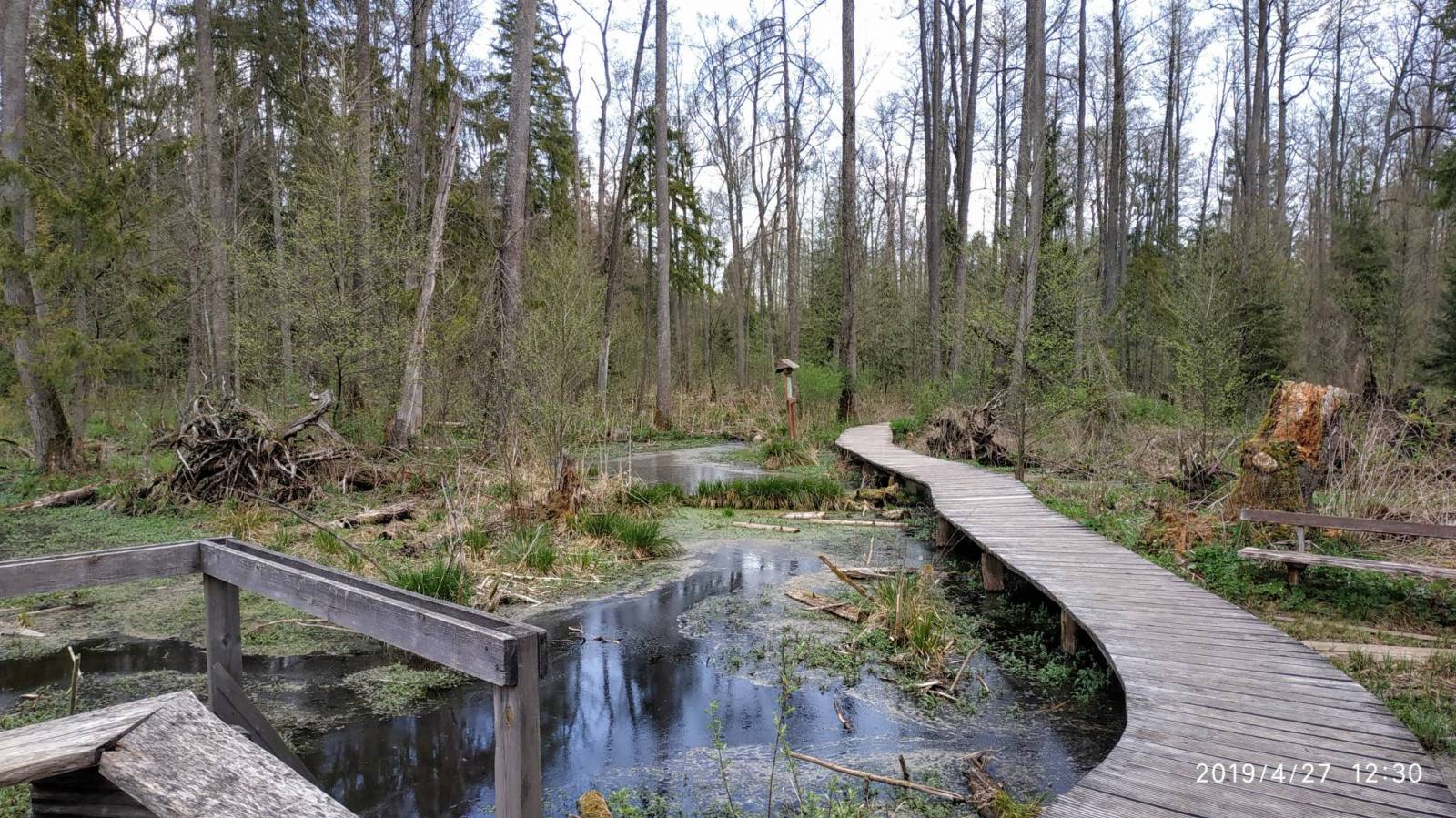 Zdjęcie 5