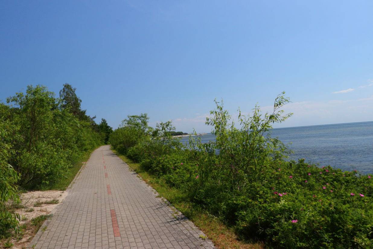 Zdjęcie 6