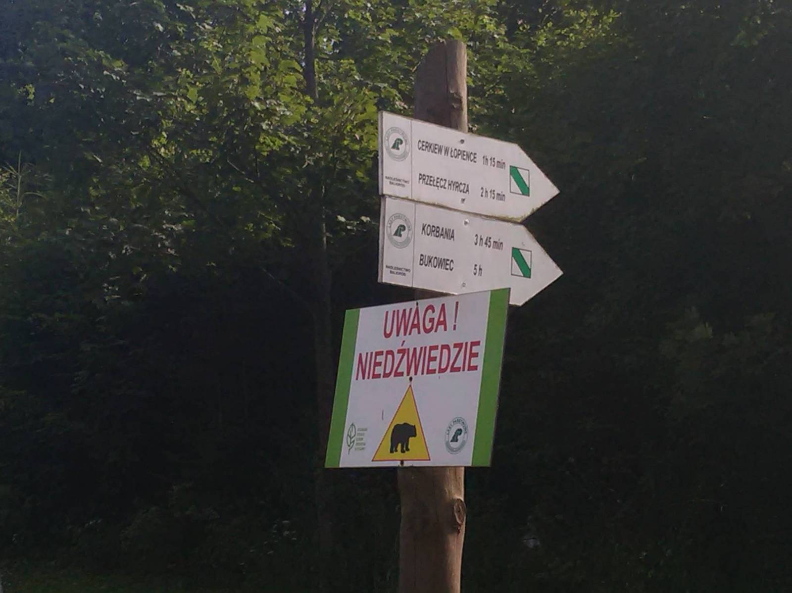 Zdjęcie 5
