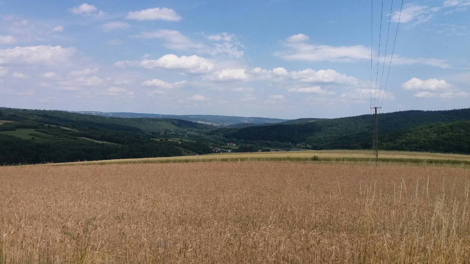 Zdjęcie 6